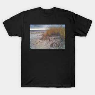 Fall Dunes T-Shirt